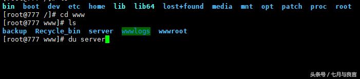 linux系统服务器 查看磁盘 du 命令介绍