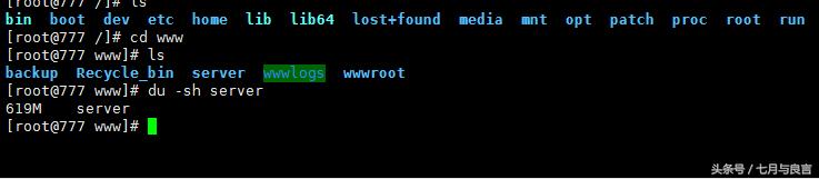 linux系统服务器 查看磁盘 du 命令介绍