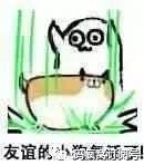 只有程序员才懂的幽默笑话