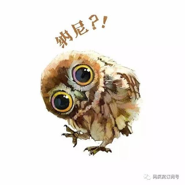 只有程序员才懂的幽默笑话
